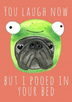 pug-pooped